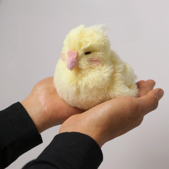 【ぬいぐるみ】インコ　ブルー ぽてっとり／手乗りサイズ ふわふわ 鳥 プレゼント 動物 お土産 ギフト