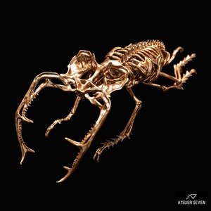 Art Lucanus maculifemoratus by Harigilly x Atelier Seven