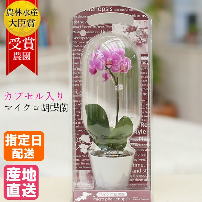 c27c3a82d67c64fd20286dd10d2847