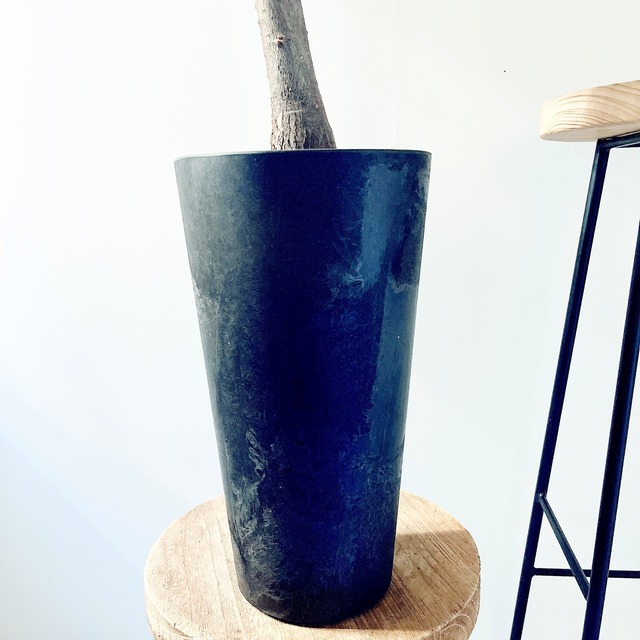 《希少》パキラ ムーンライト アートストーンポット 観葉植物 calm cafe