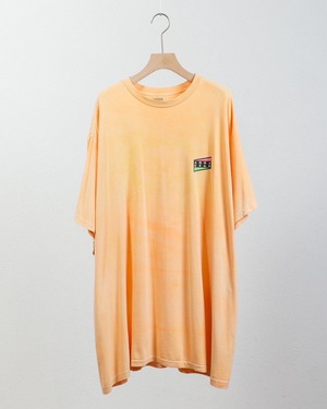 "NIKE" AQUA GEAR / garment dye both sides printed T-shirt / Made In USA