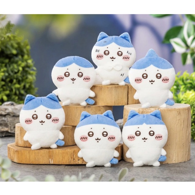 ポケットモンスター もふぐっとぬいぐるみ～カゲボウズ・ゾロア