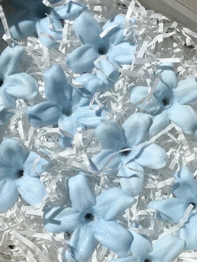 シェア花材 ジャスミン ベビーブルー Kazaineko