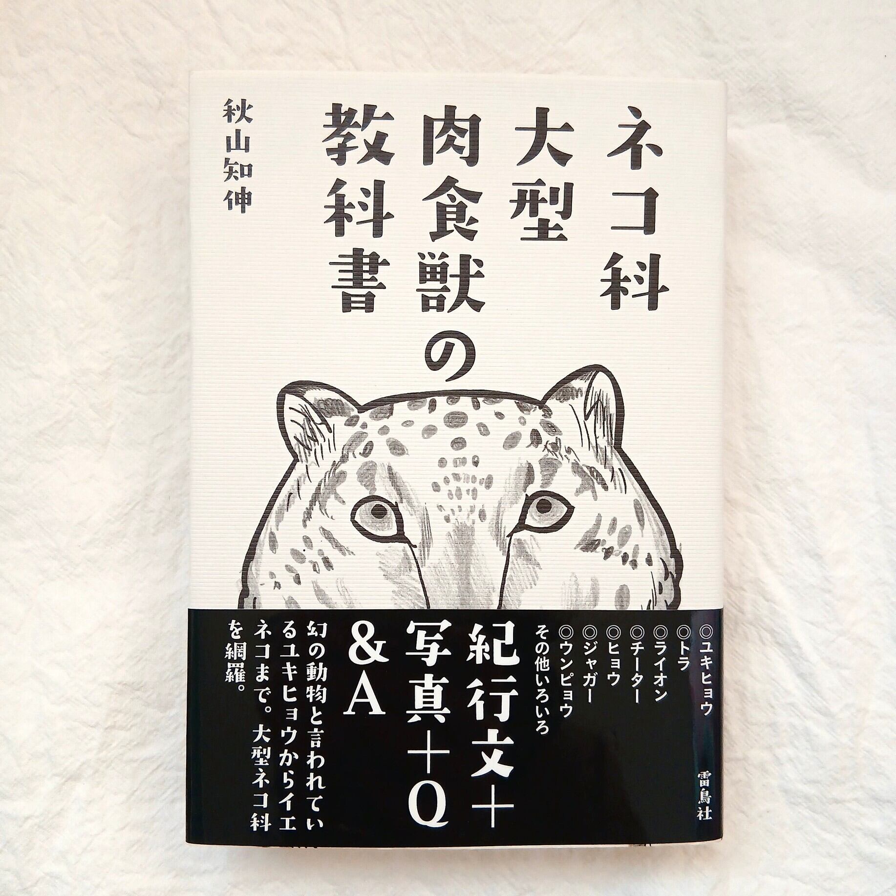 ネコ科大型肉食獣の教科書 | ねこのみち