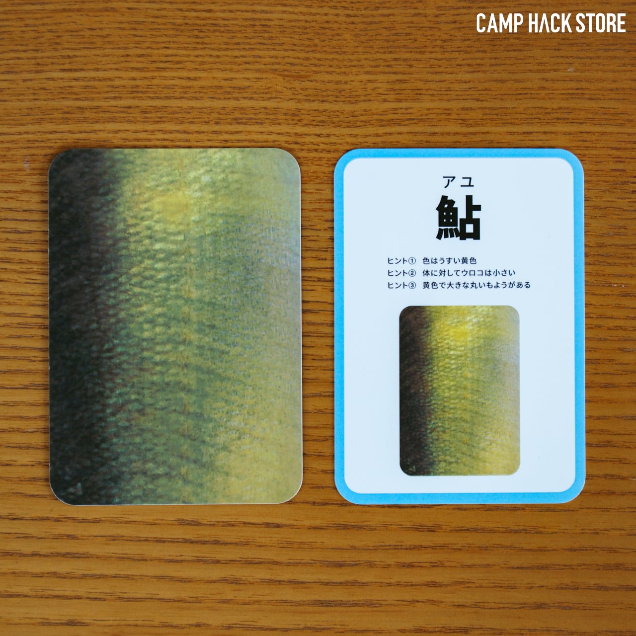 模様だけで魚種を当てよう！「さかなかるた」 | CAMP HACK STORE