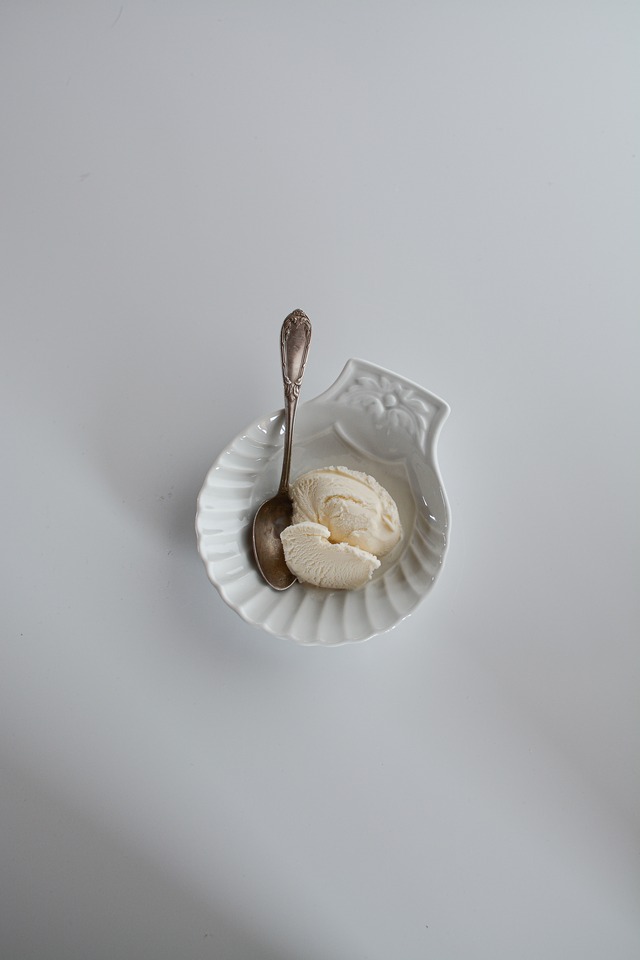 French vintage shell plate Porcelaine du Reussy