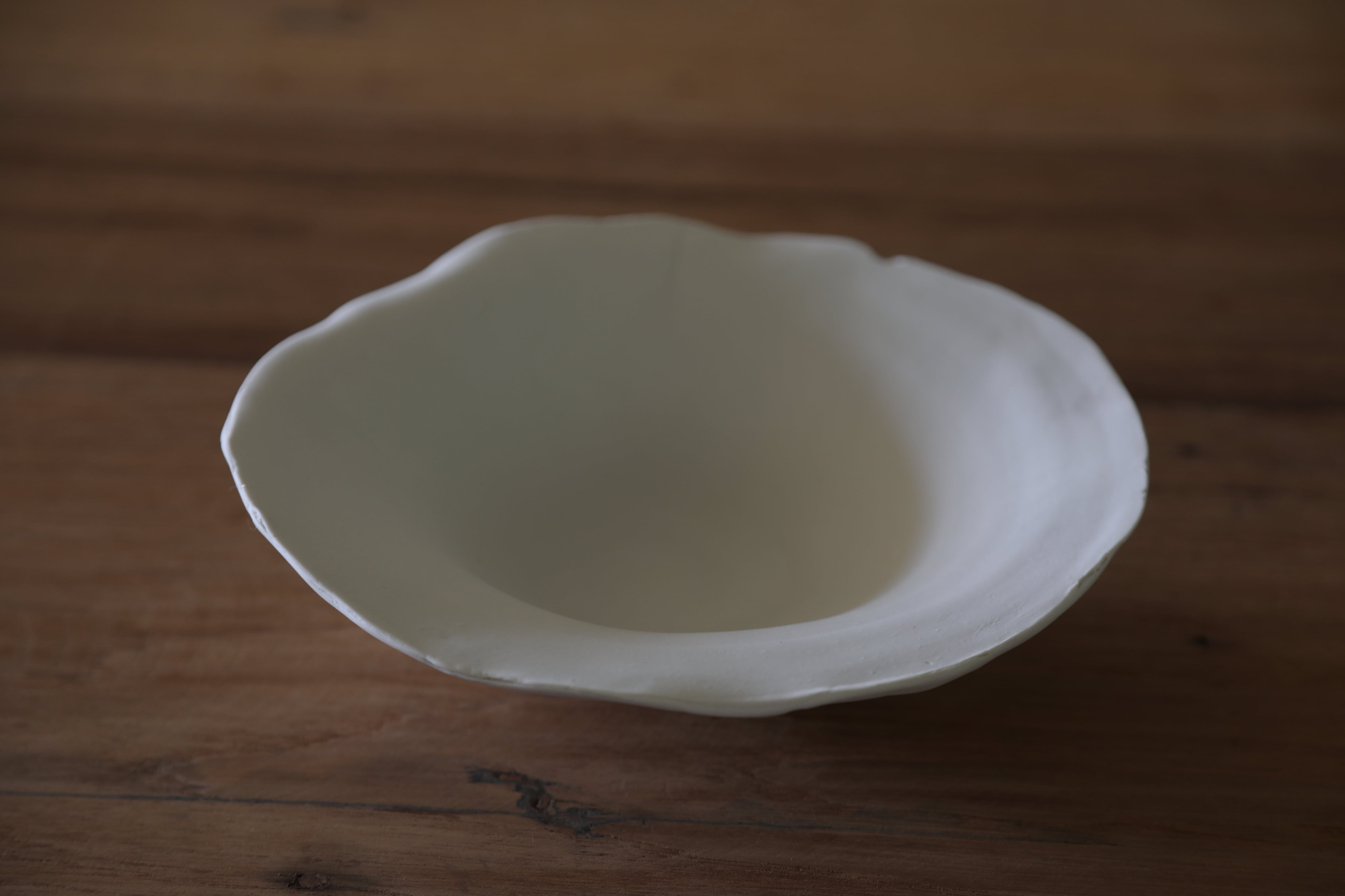 白椿 | ens 展示室