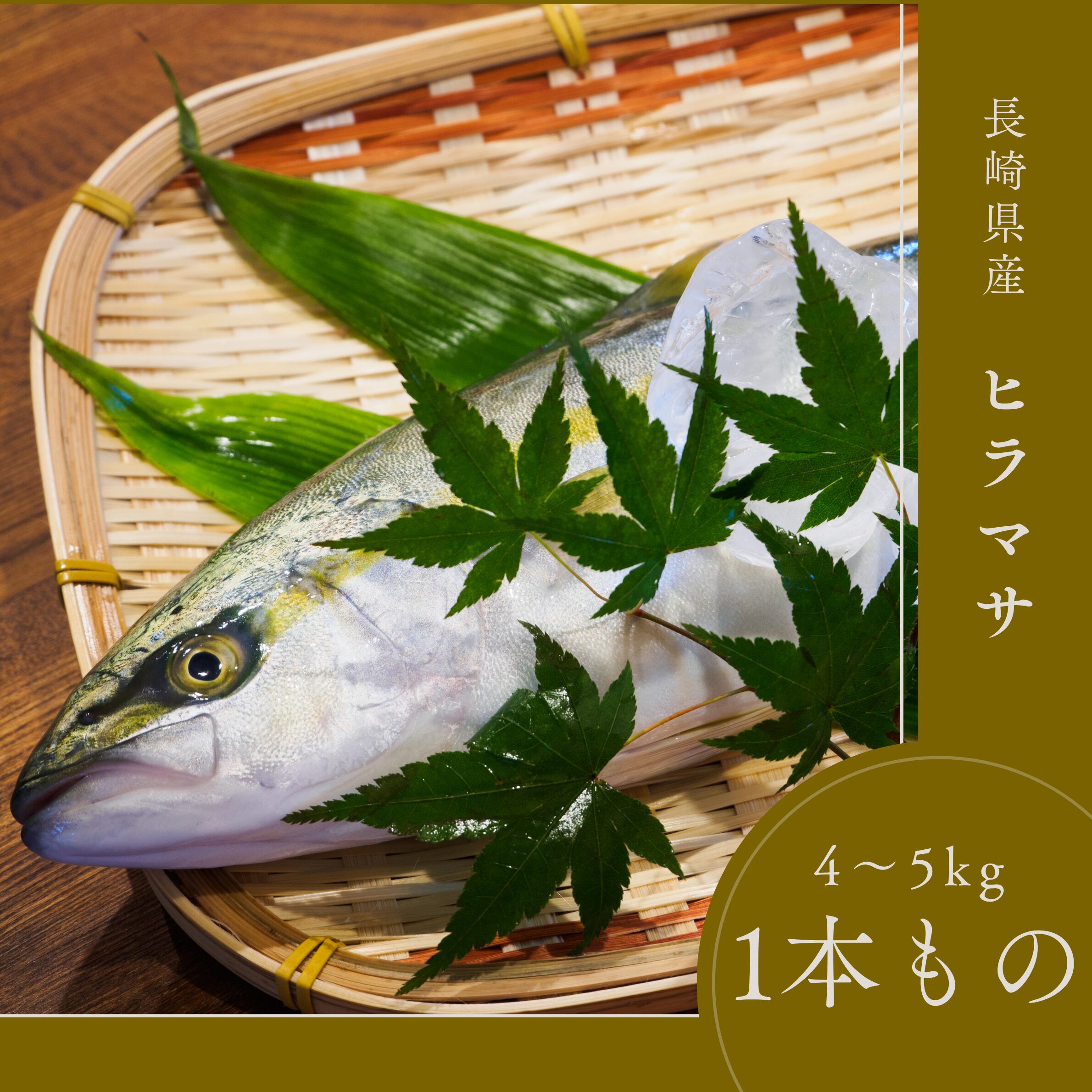 【お歳暮ギフト2025】長崎県産ヒラス/ 4~5㎏