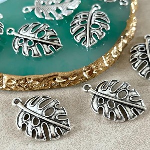 【2個】モンステラチャーム