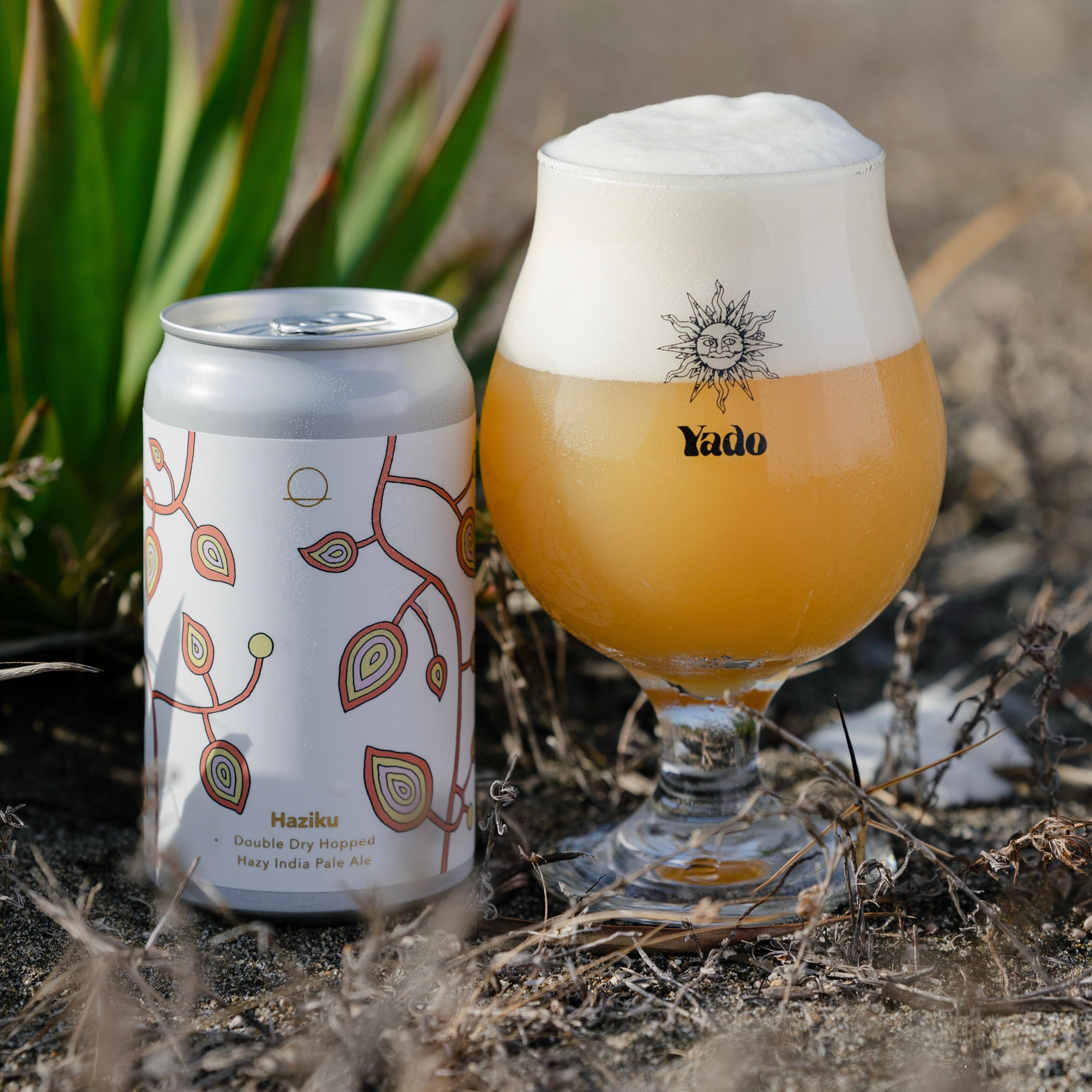 Novoru / Session IPA 6缶set | Novoru Brewing