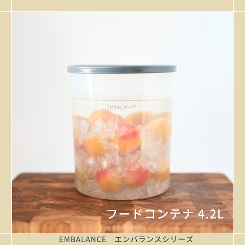 フードコンテナ4.2L（FOOD CONTAINER）【EMBALANCE エンバランス ウィルマックス】