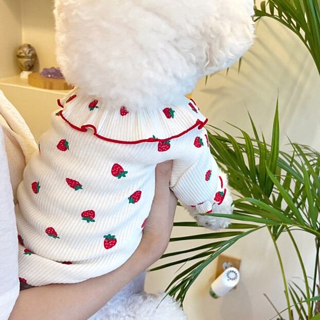 ドッグ 犬 ドッグウェア 室内着 フリル いちご ストロベリー かわいい きれいめ シンプル カジュアル 上品 おしゃれ 個性的 主役級 存在感 ラブリー キュート 都会的 シンプル 秋 冬 女の子 スクール デート お出かけ イベント 公園 休日 ショッピング 記念日 お花見 カフェ 朝 散歩 ウォーキング 室内 プチプラ 普段使い トレンド 流行 インスタ映え 定番 XS S M L XL 白 ホワイト ピンク