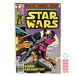 スター・ウォーズ ビンテージ コミック アメコミ 29 1979/11月