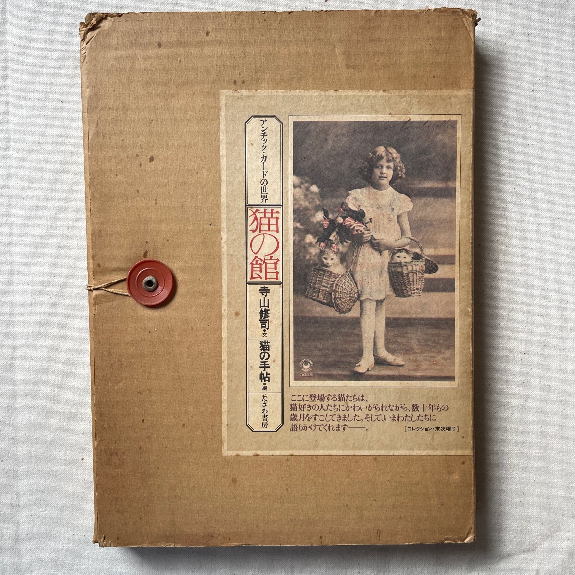 アンチックカードの世界 猫の館 (猫と少女の写真/イラスト集)