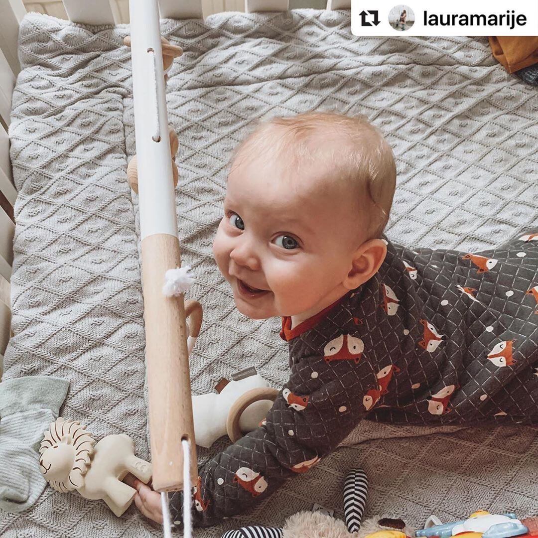 Rattle & Bath Toy Lion_96012