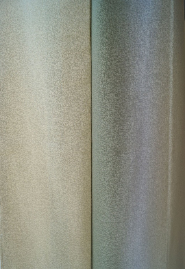 【袷】蒸栗色×柳茶色　縦暈し　縮緬地　色無地　縫い一つ紋