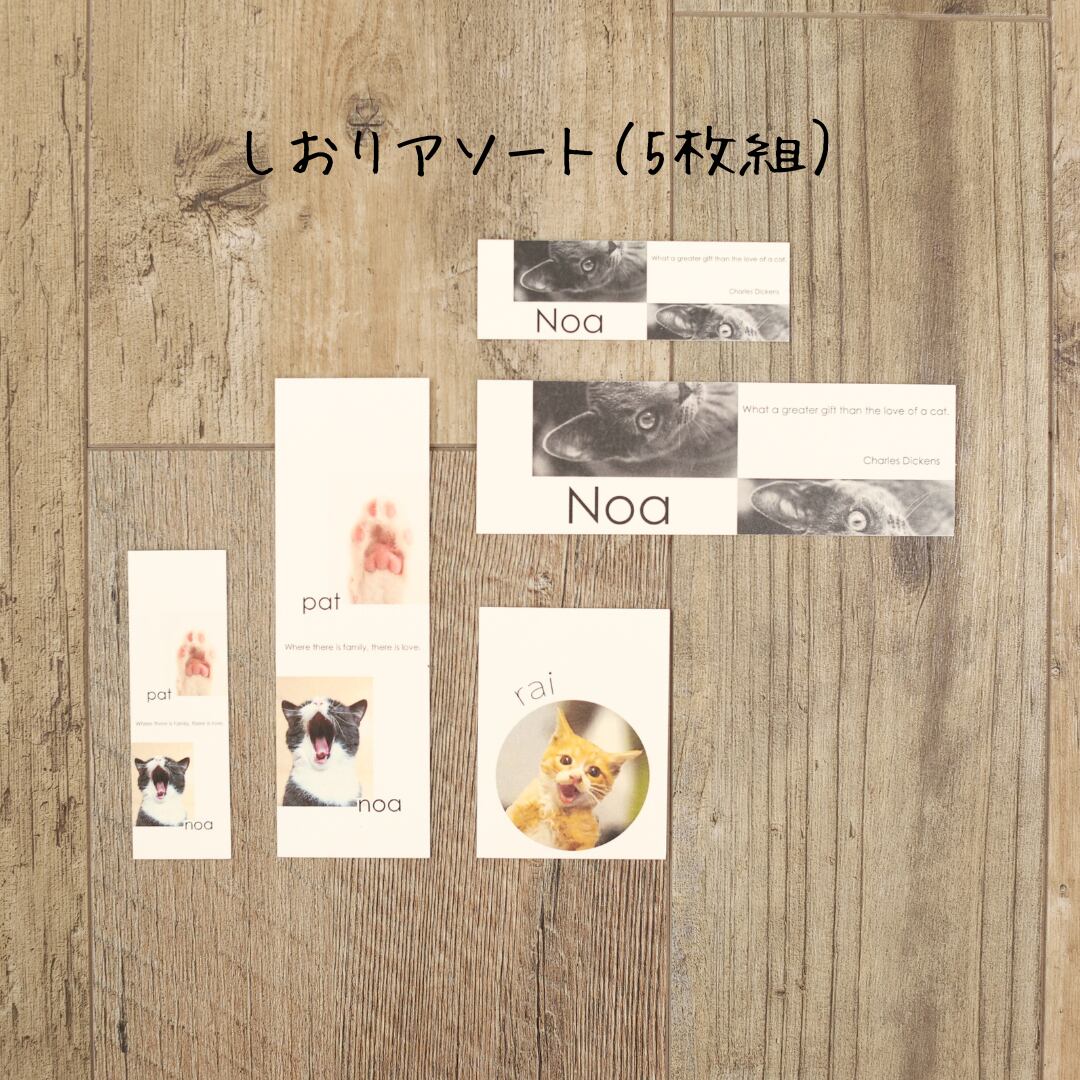 しおりアソート （5枚セット） | studio-anne