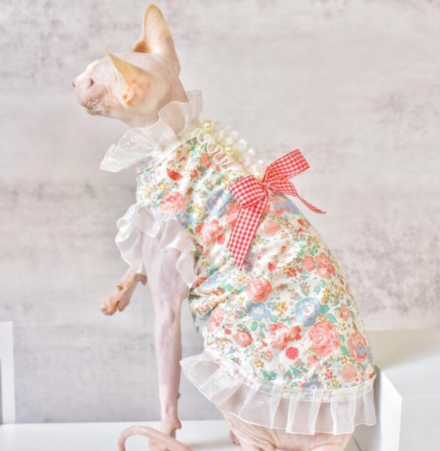 《予約》3101670 ゴージャスフラワートップス