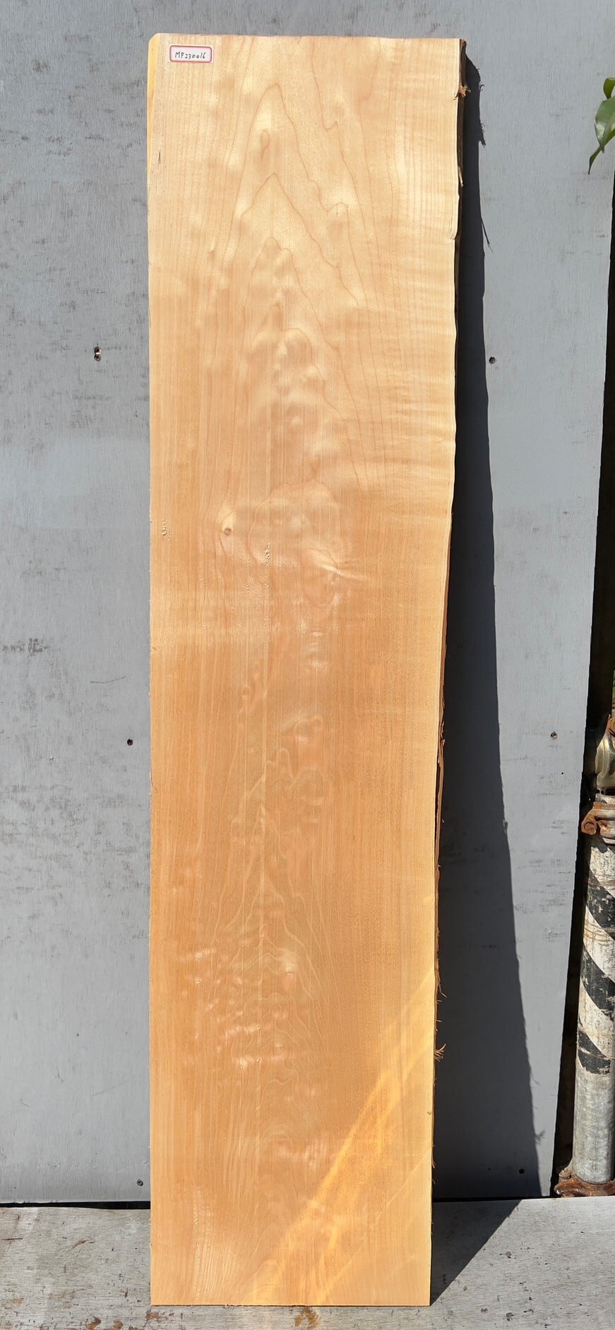 Quilted Maple】キルテッドメイプル | automnforest workshop