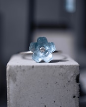 泡沫の目覚め -Nemophila- ring