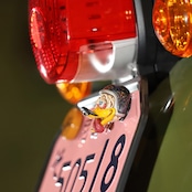 CRAZY CUB DUCK NumberBolt /CC110イエロー