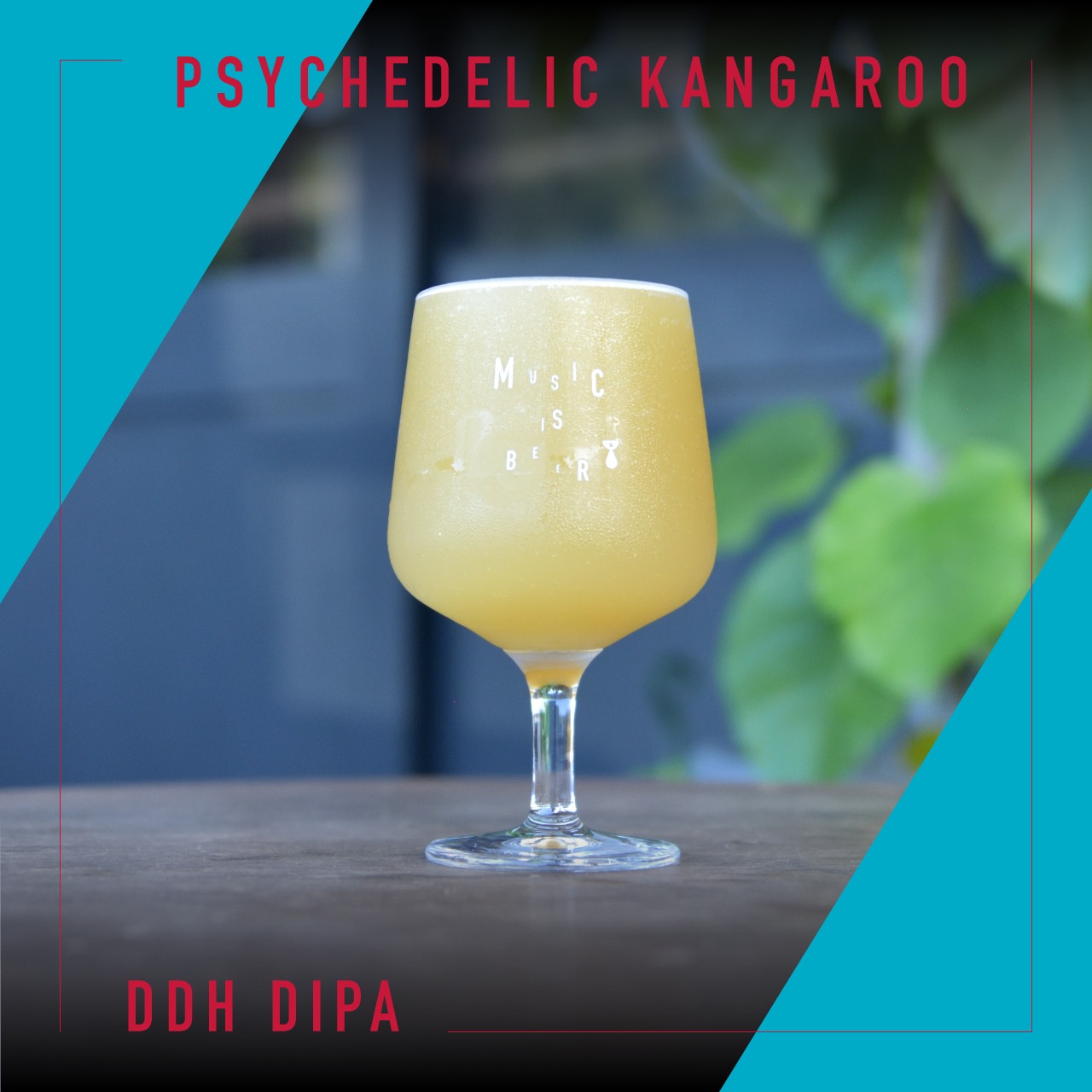 ＜Psychedelic Kangaroo // サイケデリックカンガルー＞500ml缶