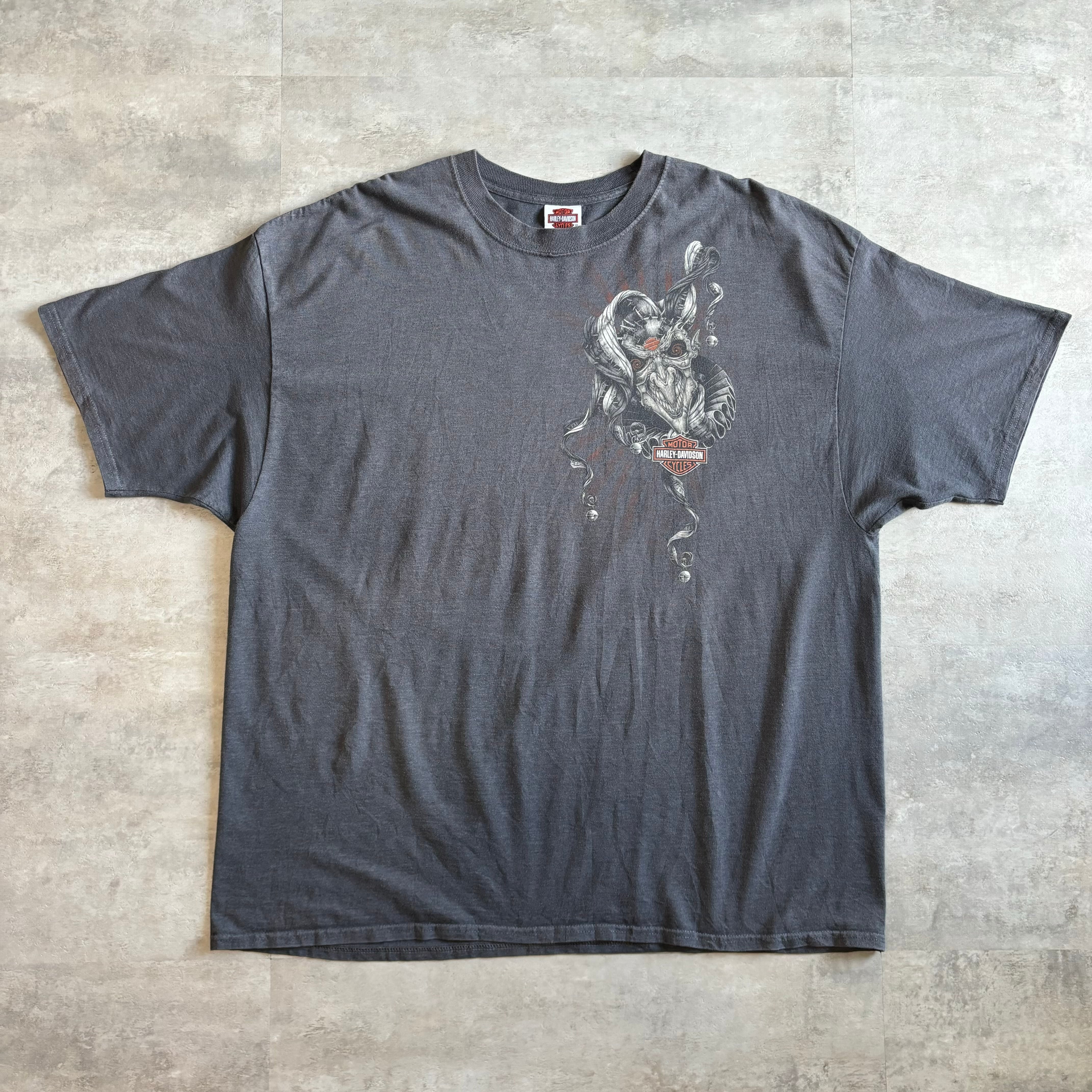 《2XL》Harley-Davidson ハーレーダビッドソン Tシャツ レアプリント no.4013