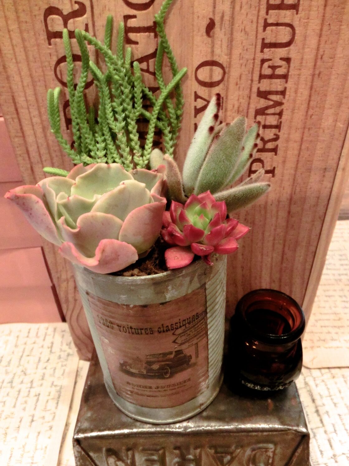 リメイク缶寄せ植え（高砂の翁） | PAY ID
