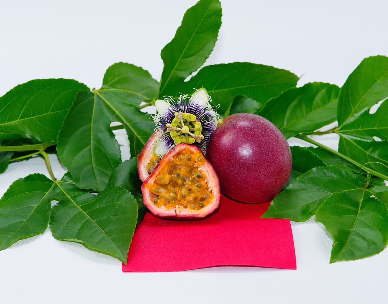 自社栽培パッションフルーツ（ネット入り8玉） | マンゴーの森｜公式