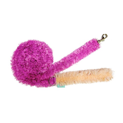 READ　‐　(BERRY)