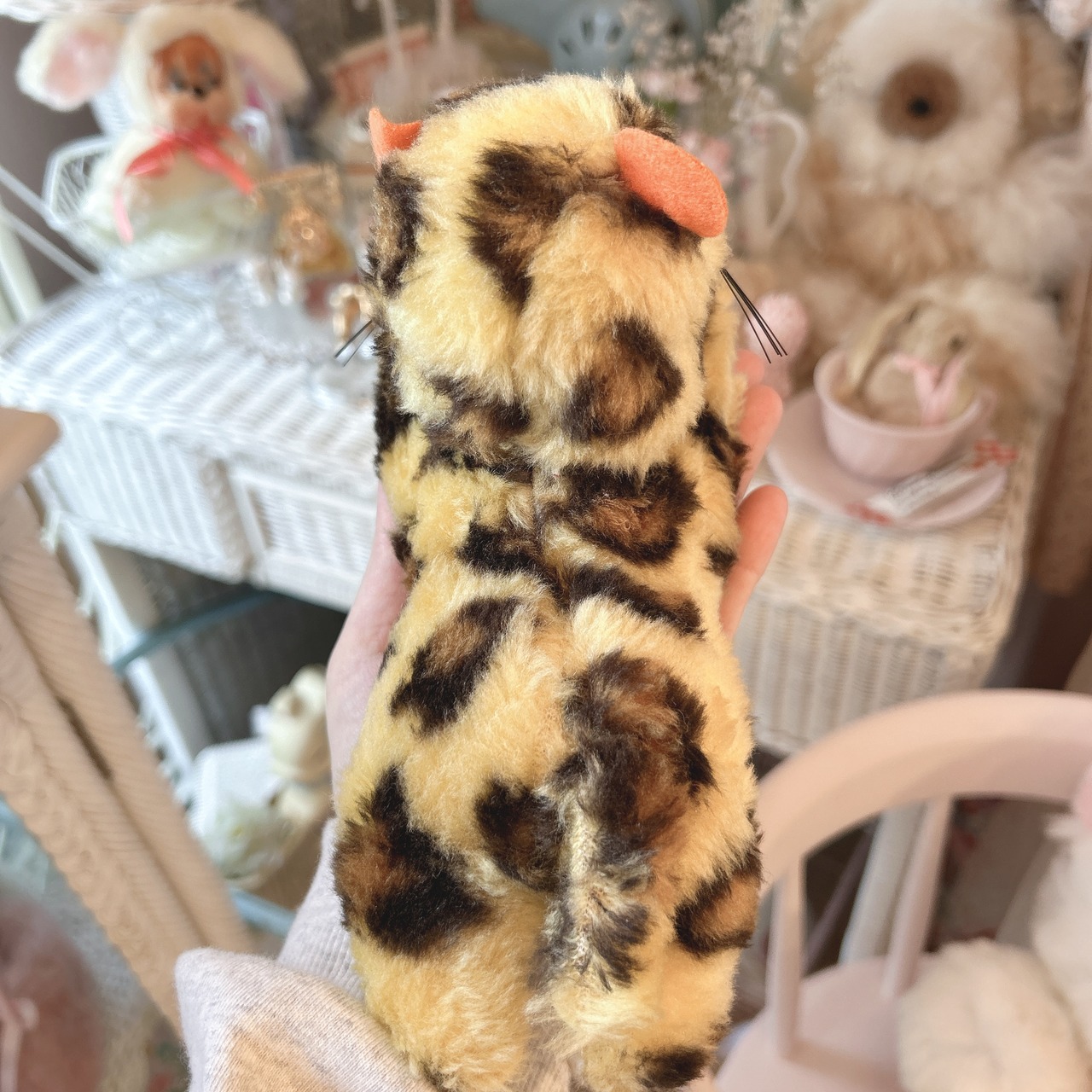 leopardの画像05