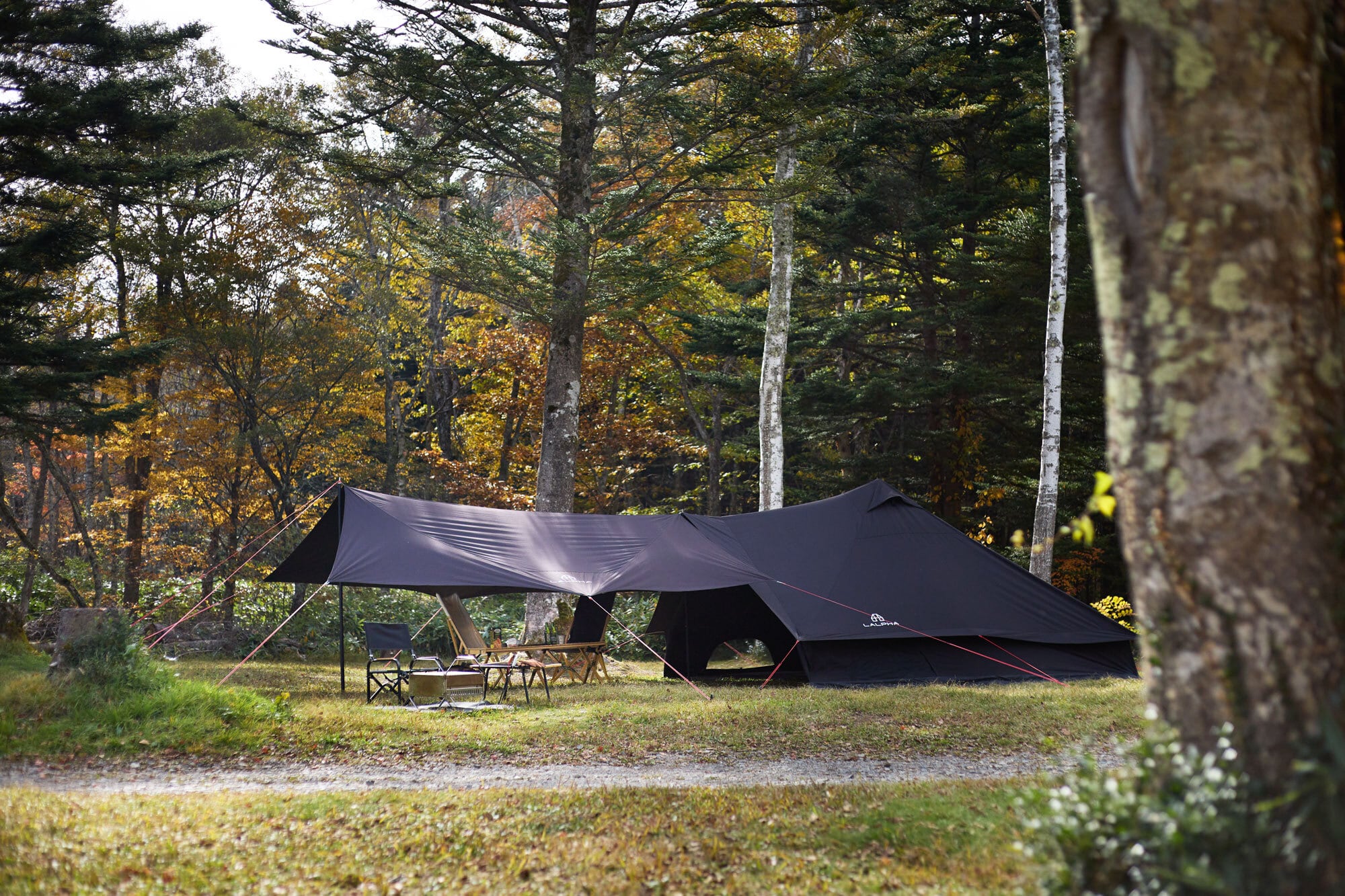 LALPHA (ラルファ) サイド-3TC　TP-400BK　ポリコットン　黒 LALPHA (ラルファ) サイド-3TC TP-400BK ポリコットン 黒 SIDE-3 TC BK