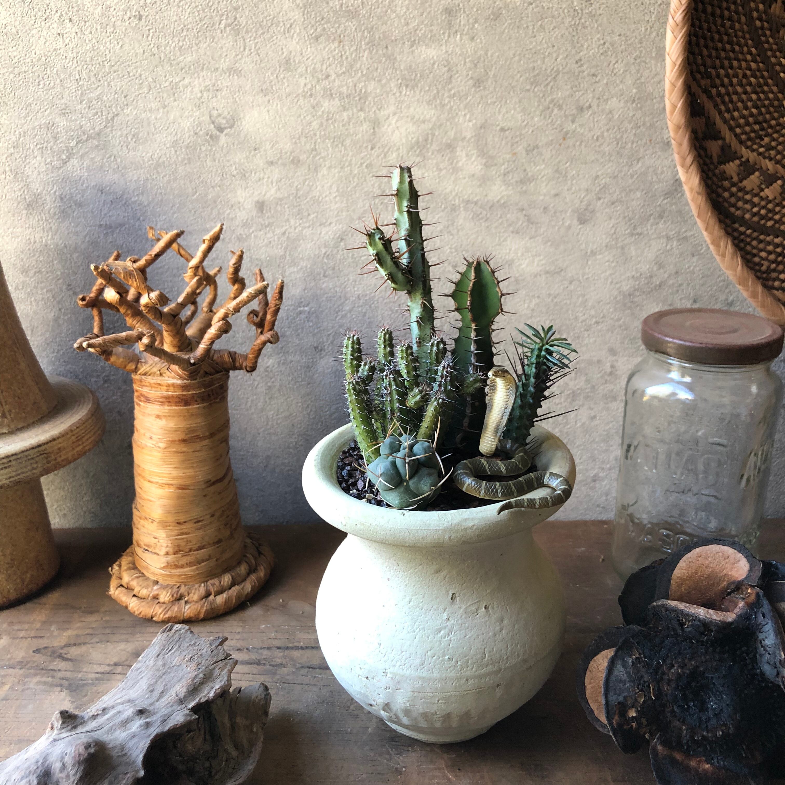 King cobra キングコブラ | SABOTEN MISSILE