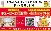 オールドエルパソ タコシーズニングミックス 30g