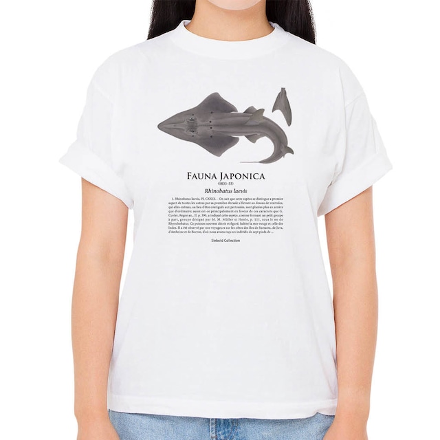 【トンガリサカタザメ】シーボルトコレクション魚譜Tシャツ（高解像・昇華プリント）