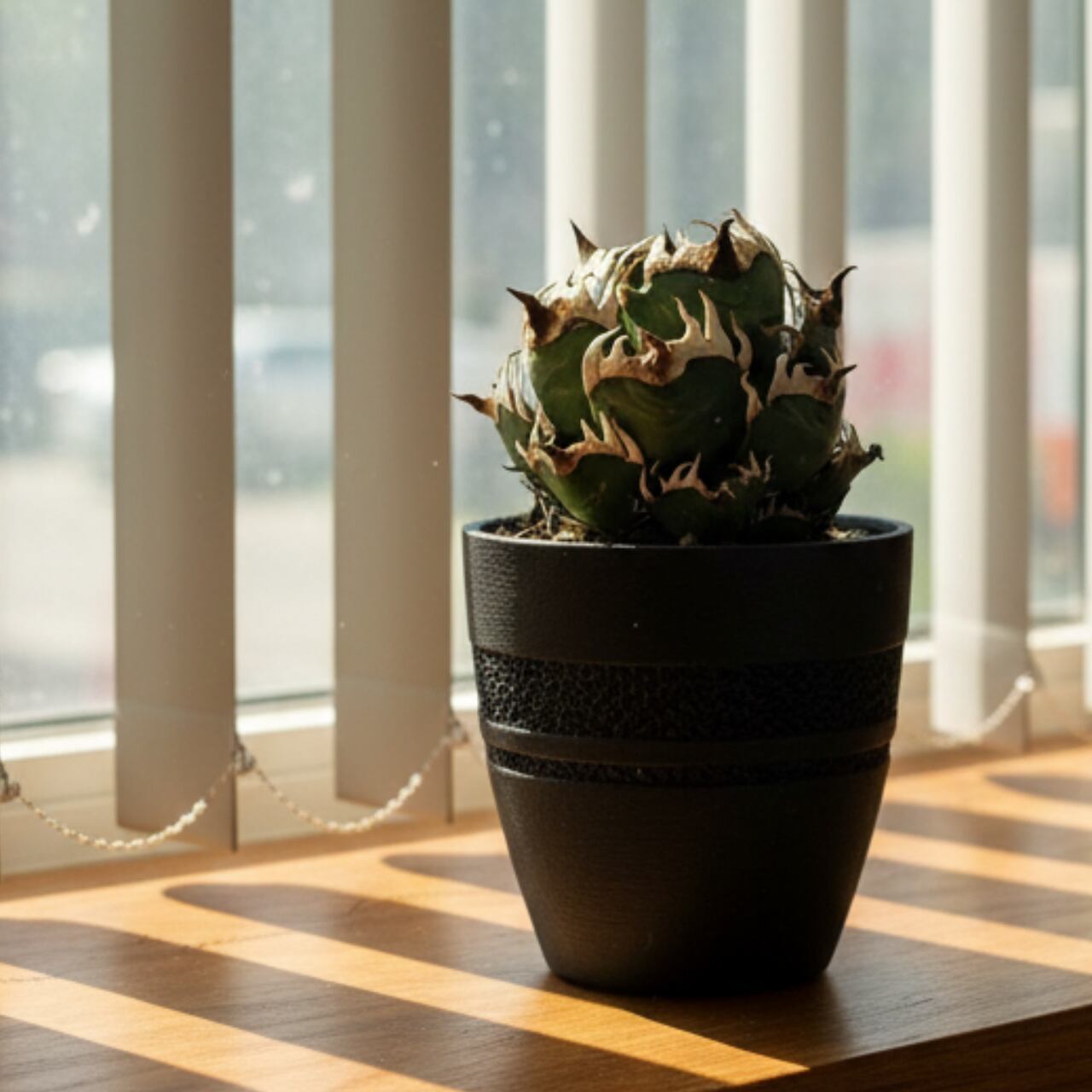 Orbit【3号】3Dプリンター製植木鉢 アガベ、塊根植物向け高機能 | 3D