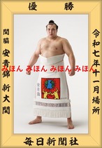 令和７（２０２５）年１１月場所  優勝    安青錦  新大  関 （初優勝）