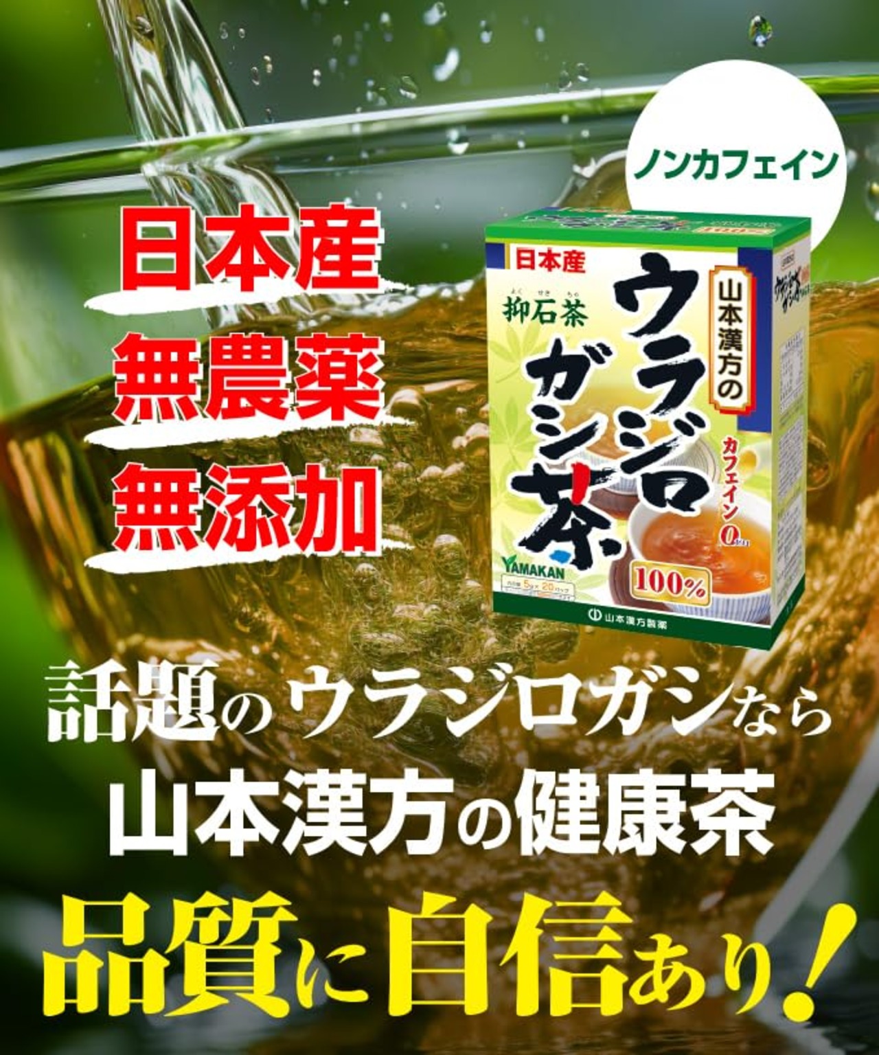 Natural Life 山本漢方製薬 ウラジロガシ茶100% 5gX20H