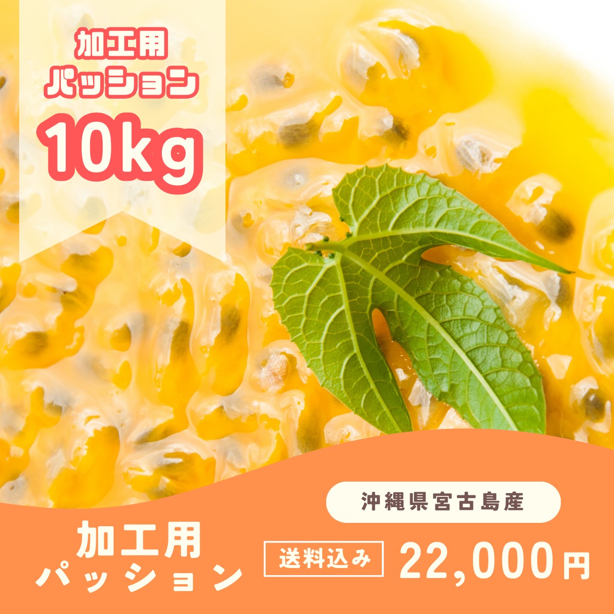 加工用パッションフルーツ10kg | テノワヤ商店