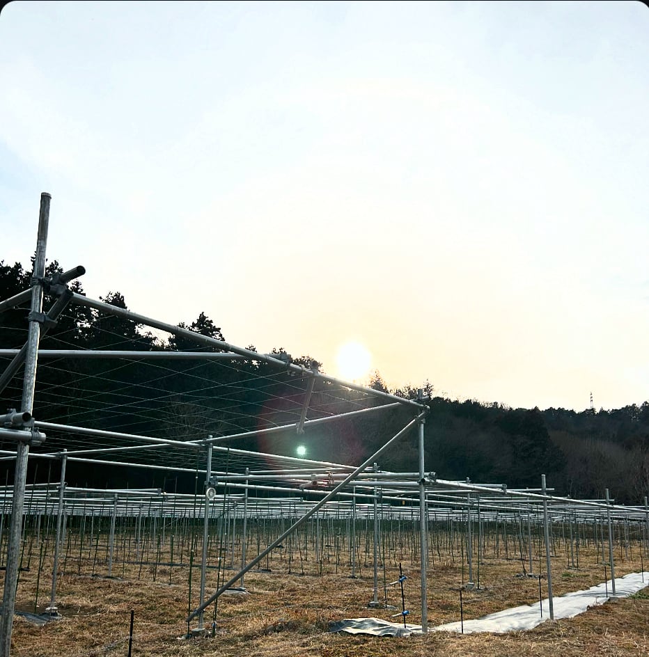 須合と話そう！会　＠八王子