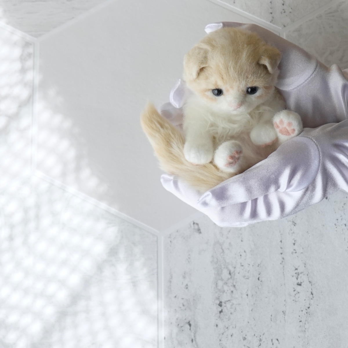 スコティッシュフォールド（仔猫）25F2SK ぬいぐるみ【SOLD OUT 
