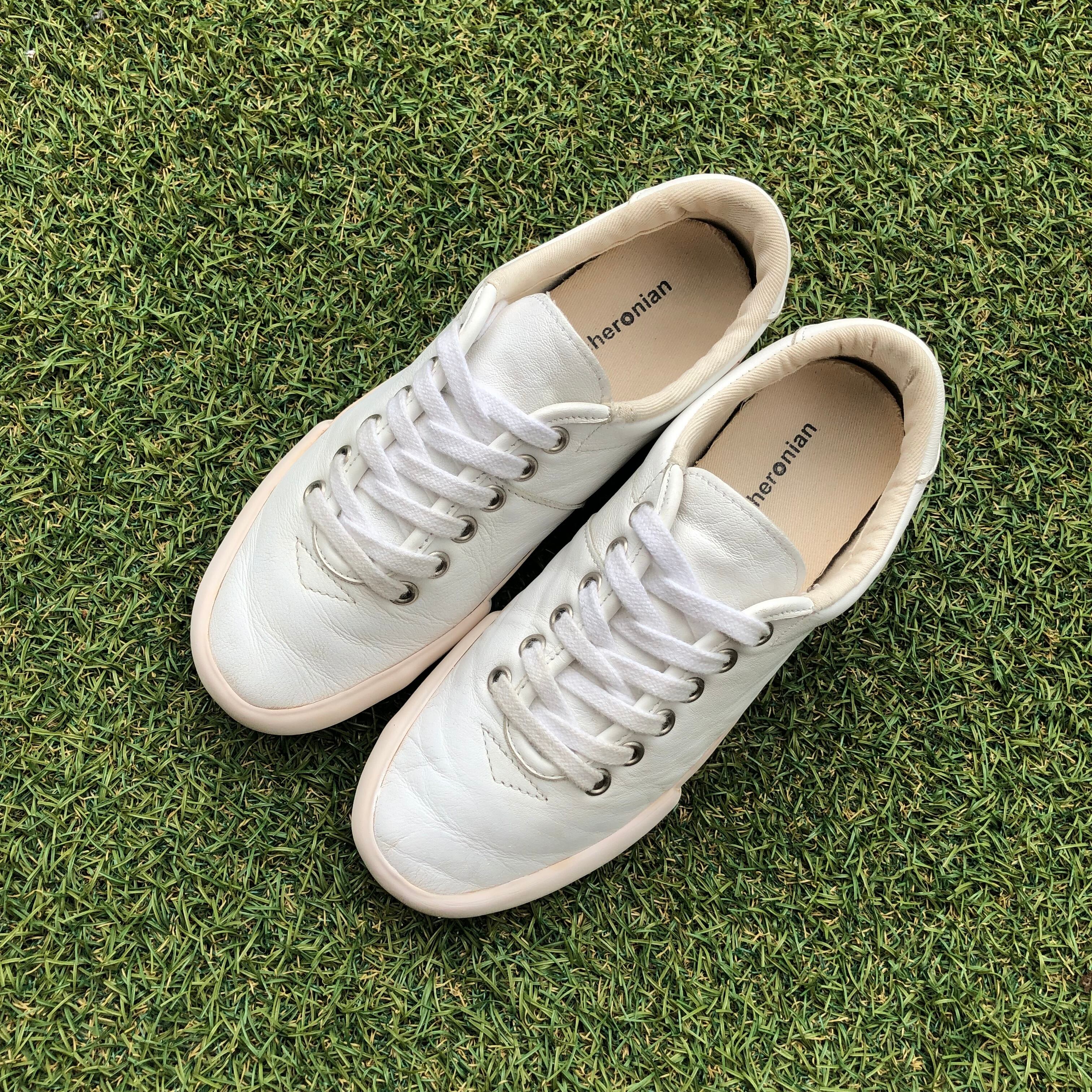 マカロニアン レザースニーカー(新品)