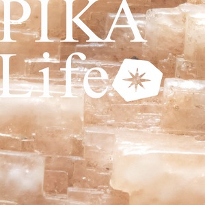 ⭔ お客様専用ページ ⭔ hotty___3 様　