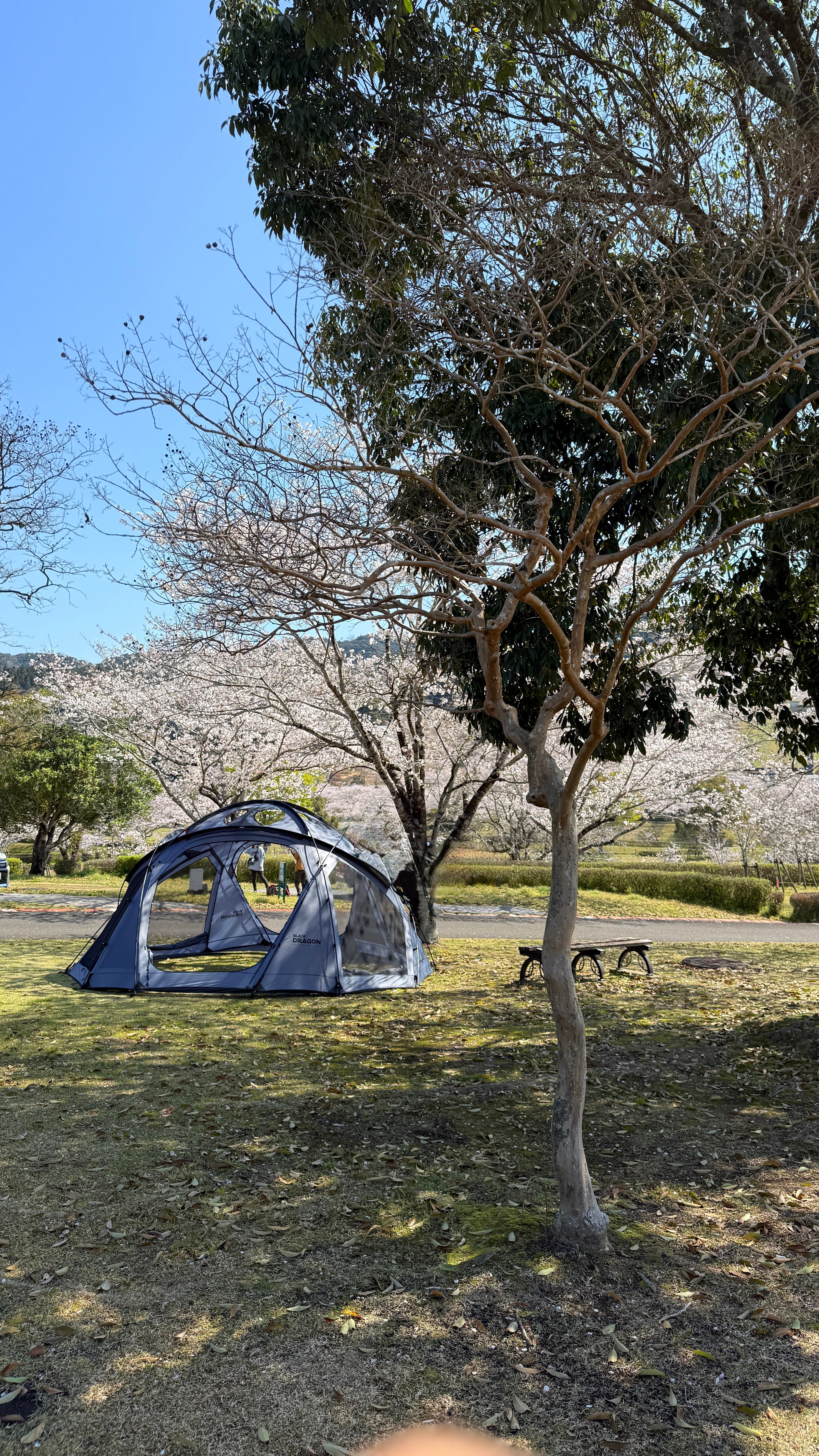 S450 | Black Dragon Japan
