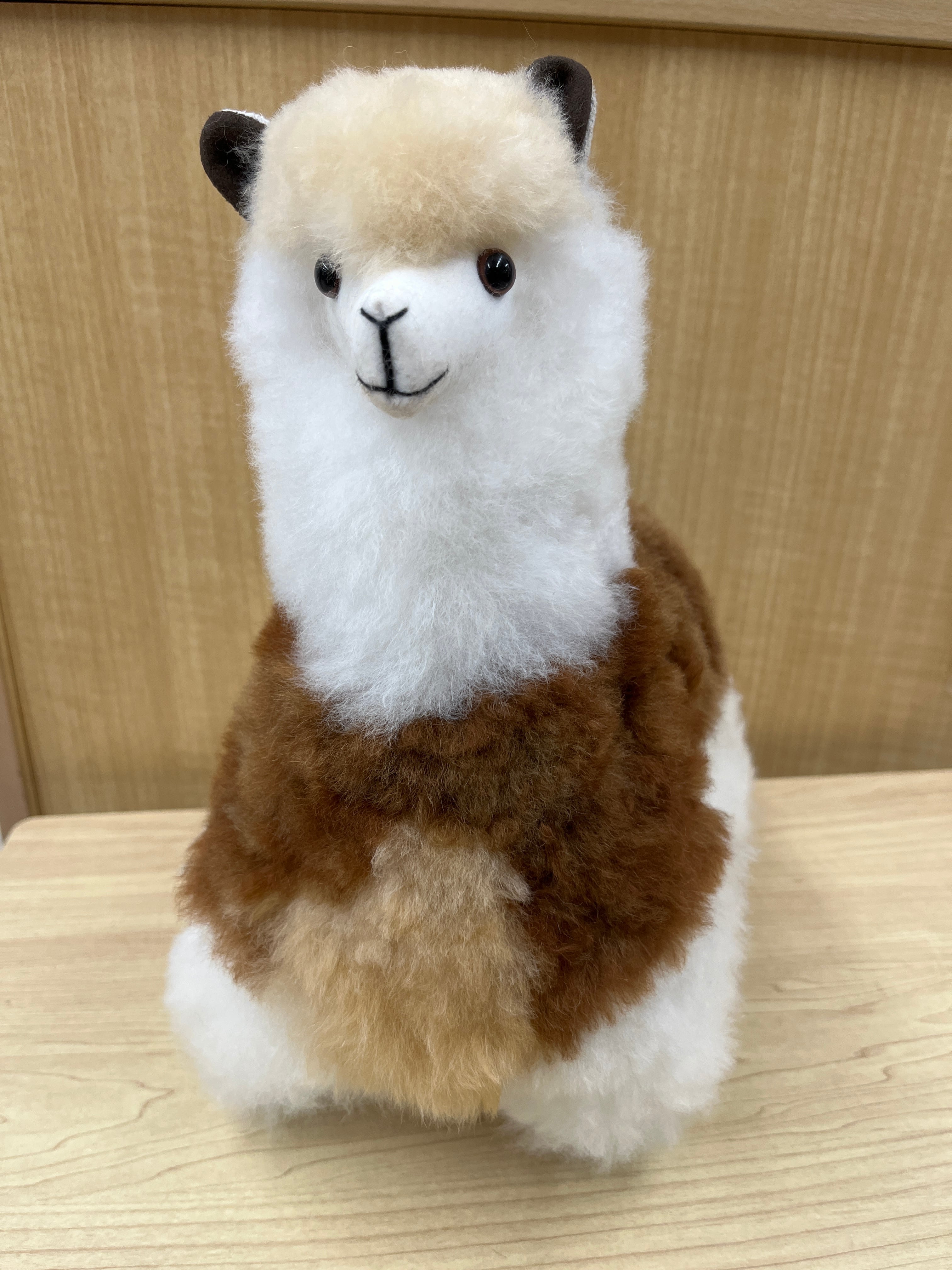 アルパカ製純毛ラグ 「マチュピチュとコンドル」 | ALPACA WORLD