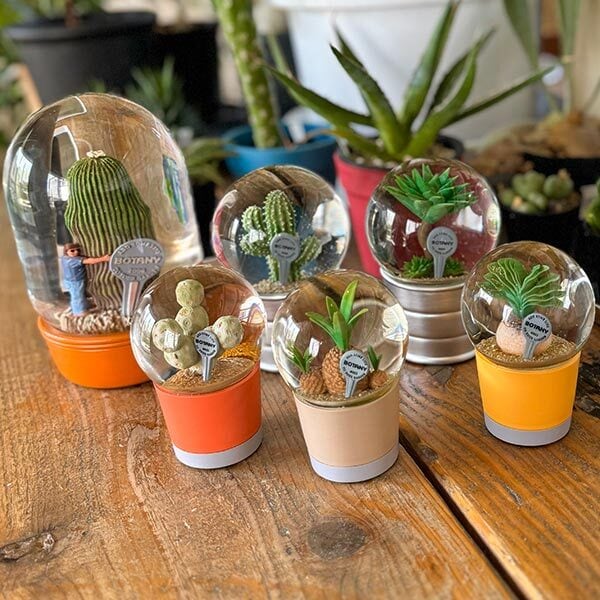 PLANTS WATER GLOBE Mサイズ 2種類 プランツ ウォーター グローブ