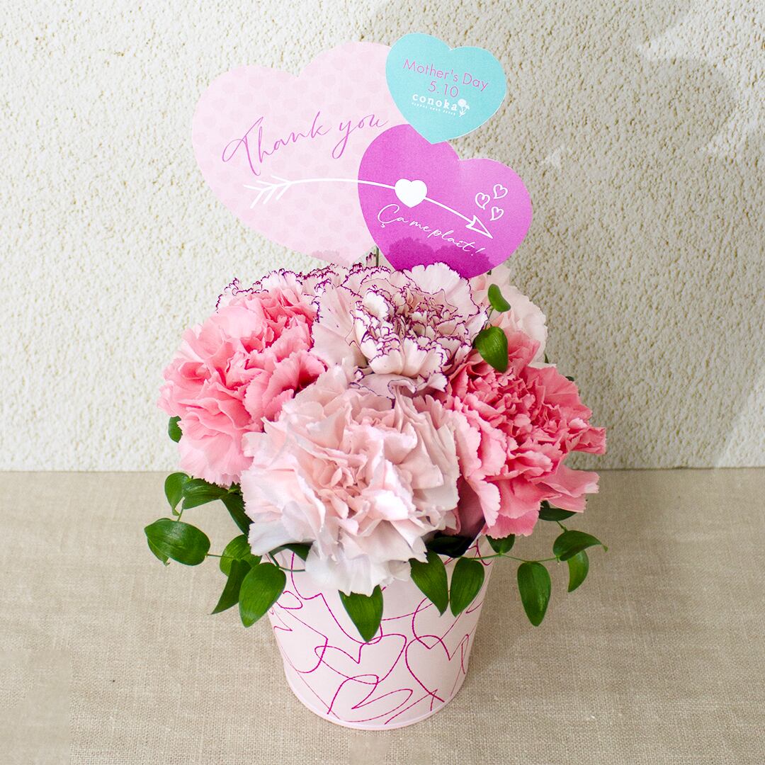 早割10%【2026 Mother's Day AC-10 ハートアレンジメント(ピンク)】母の日|母の日ギフト|カーネーション|フラワーギフト
