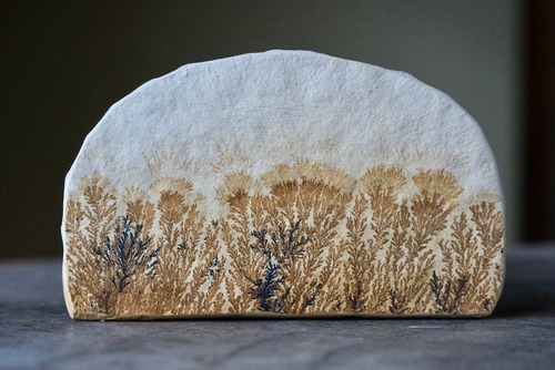 デンドライト 忍石 Dendritic limestone  ⑮