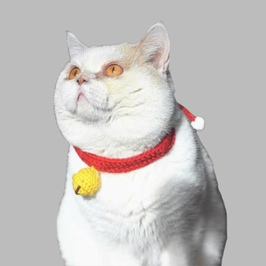 cat ＆ dog  tin knit choker　ー48
