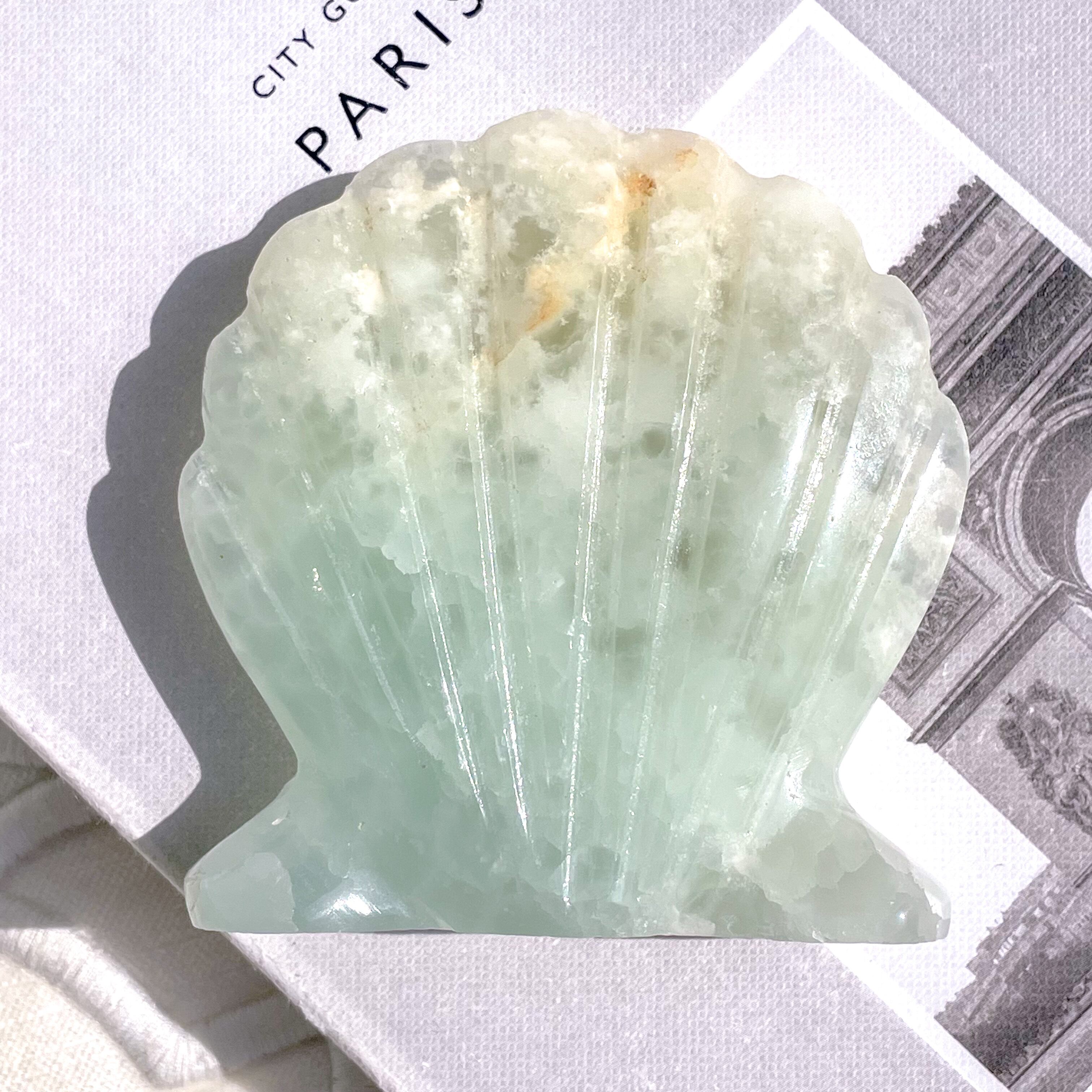 Caribbean Blue Calcite Shell 5 ✧ カリビアンブルーカルサイト